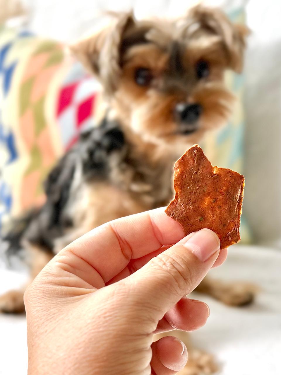 Petisco para pets